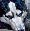 Nikolay Roussev - fine art