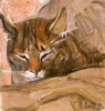 Nikolay Roussev - fine art