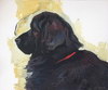 Nikolay Roussev - fine art