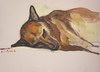 Nikolay Roussev - fine art