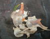Nikolay Roussev - fine art